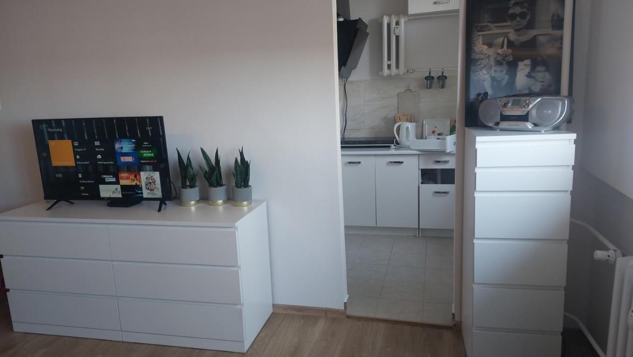 Apartament 9 Pietro Stary Toruń エクステリア 写真