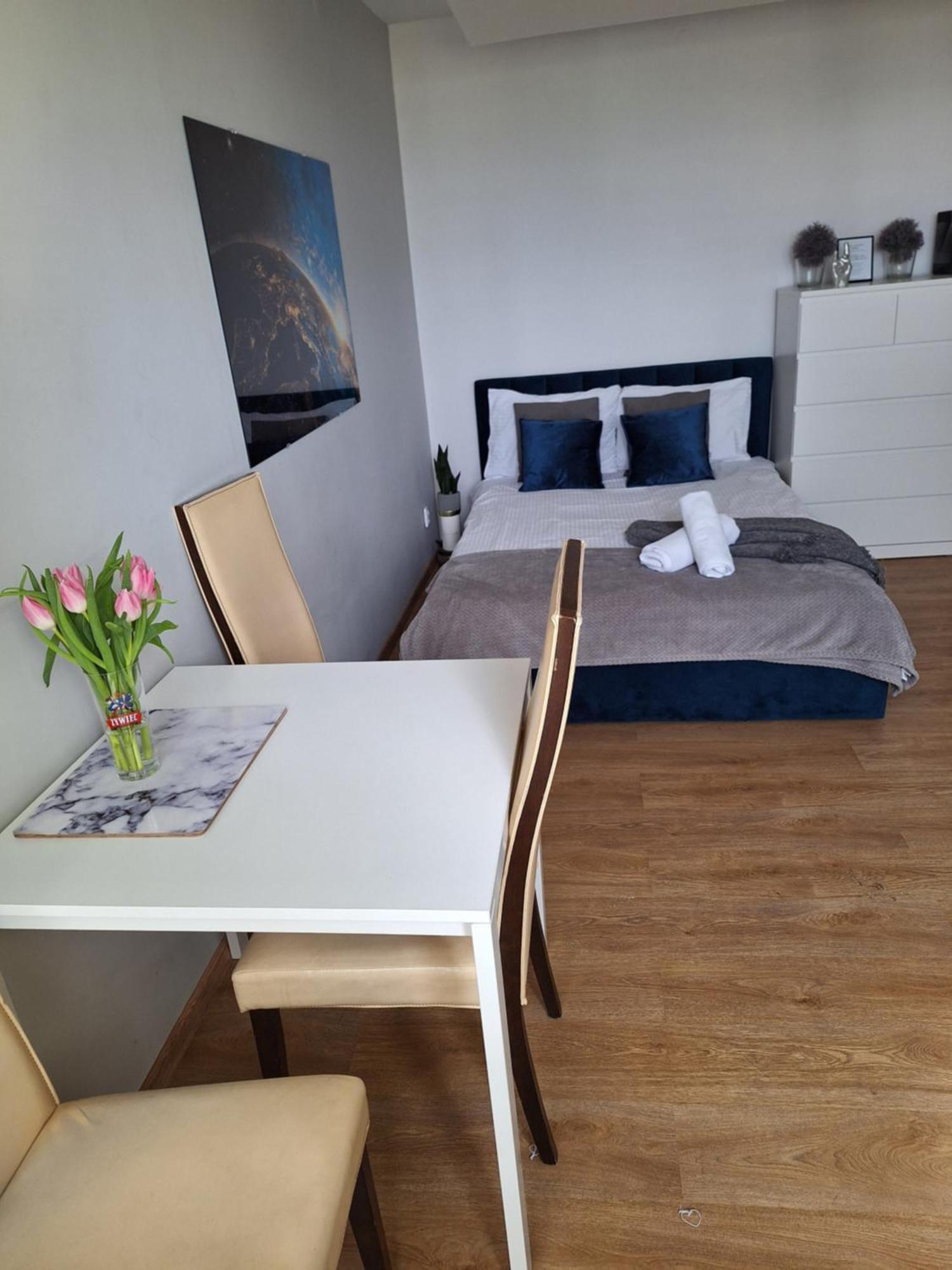 Apartament 9 Pietro Stary Toruń エクステリア 写真